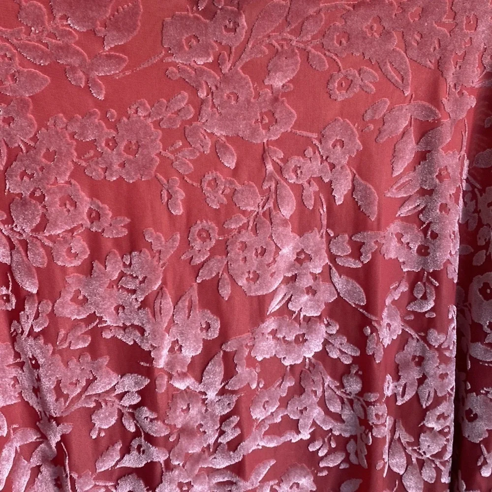 Agnes and Dora/ Blush Velvet Floral Sheer Crop Top - Picture 3 of 5